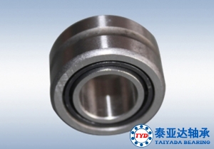 NA4904番茄视频APP在线观看